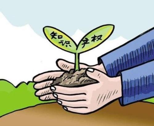 审查指南到底修改了多少次？